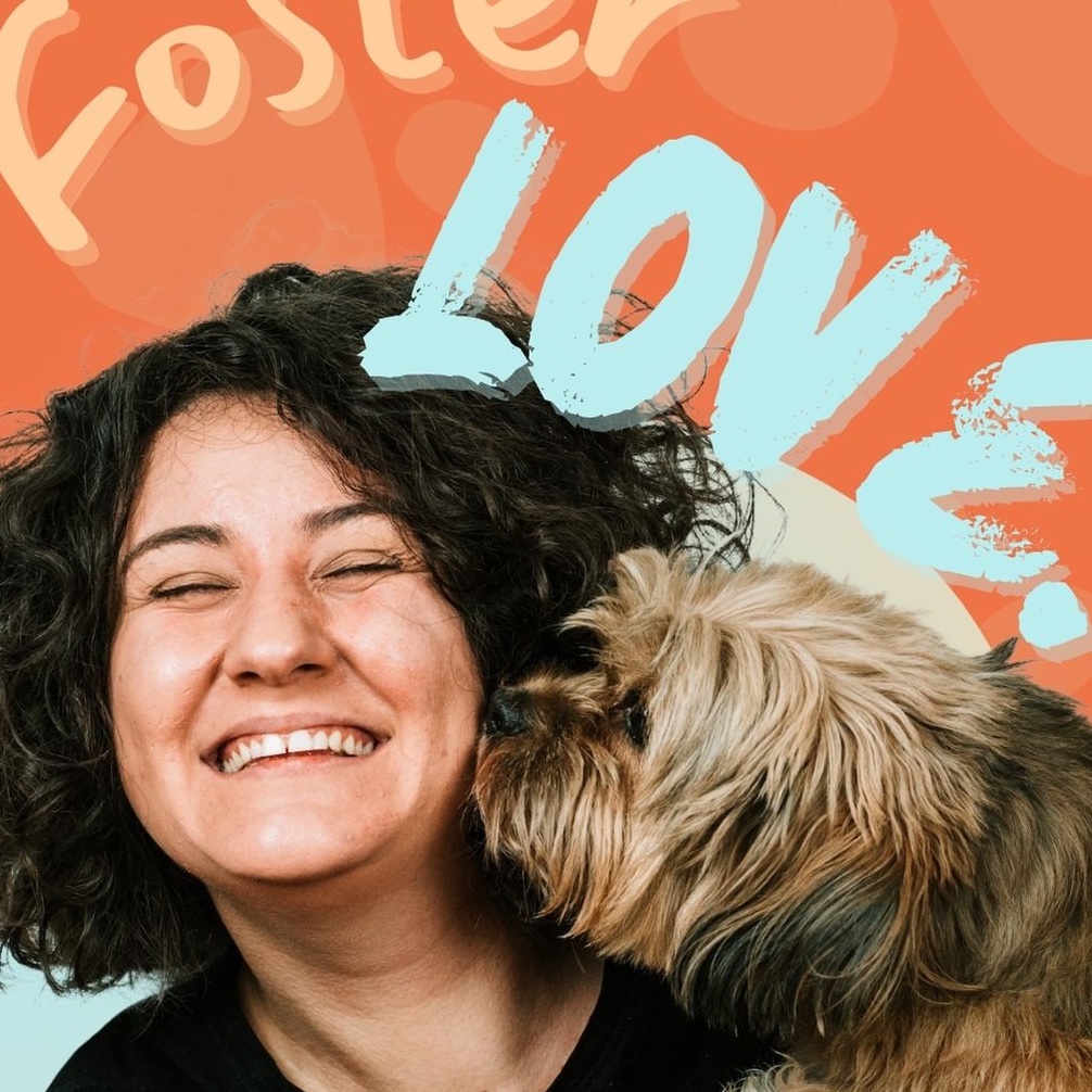 A poster reading ‘Foster Love’ in cheerful orange and blue. The main image is a dog trying to lick a laughing person’s face.