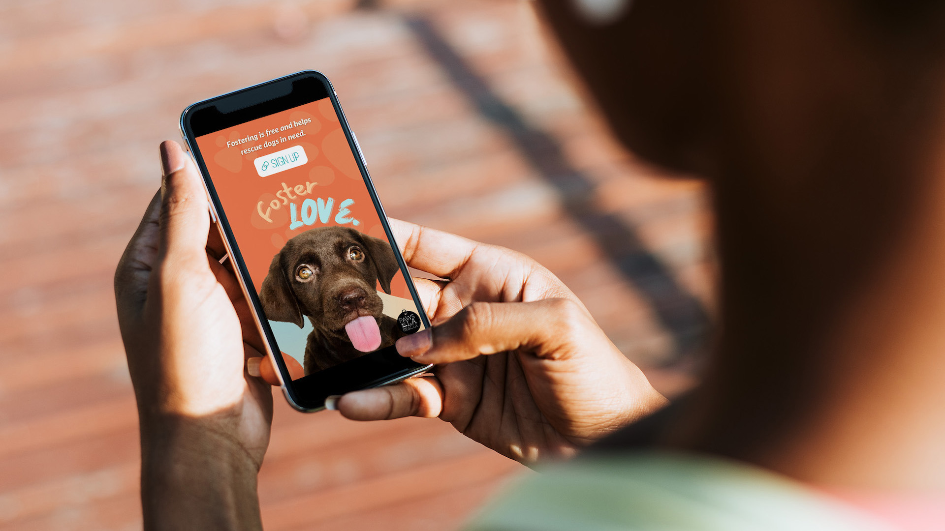A mockup of a person looking at an Instagram post on their phone. The post reads 'Foster Love' on an orange background and features a chocolate lab with its tongue sticking out.